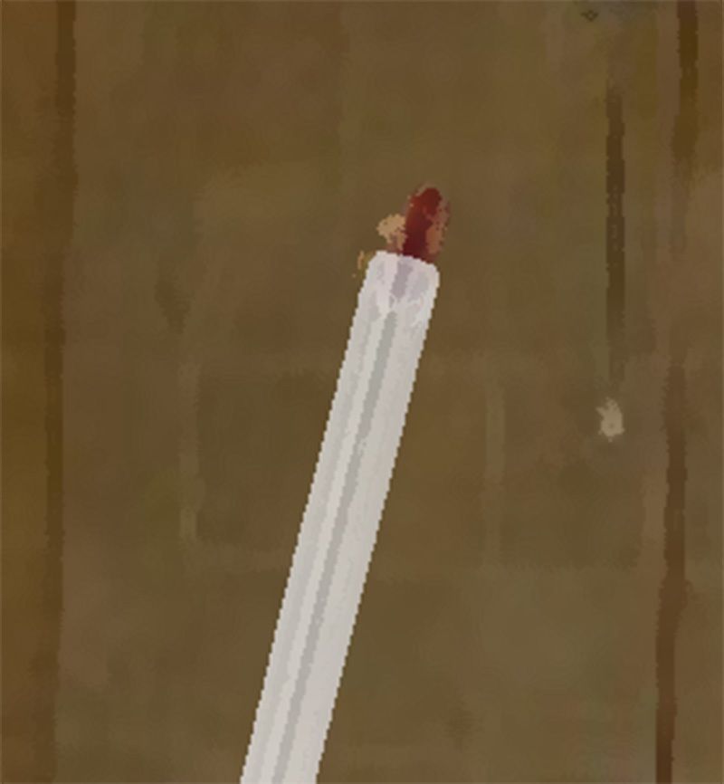 私の蟲姦遊び 19話 妊娠中に2匹のゴキブリの幼虫編