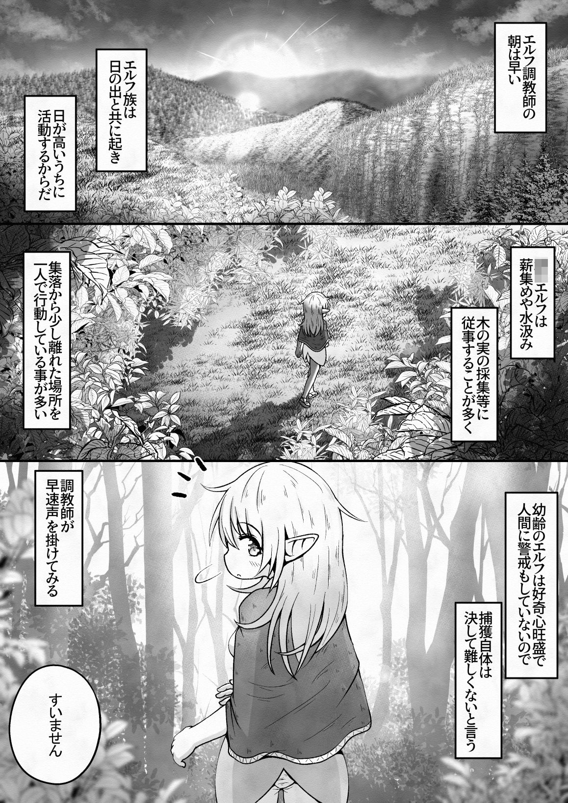 エルフの女の子を騙して誘拐し性奴●に調教するお話