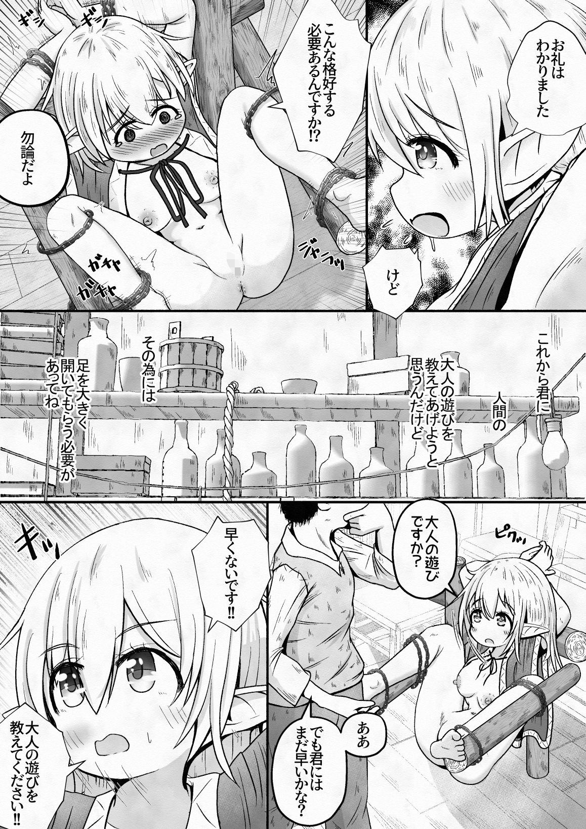 エルフの女の子を騙して誘拐し性奴●に調教するお話