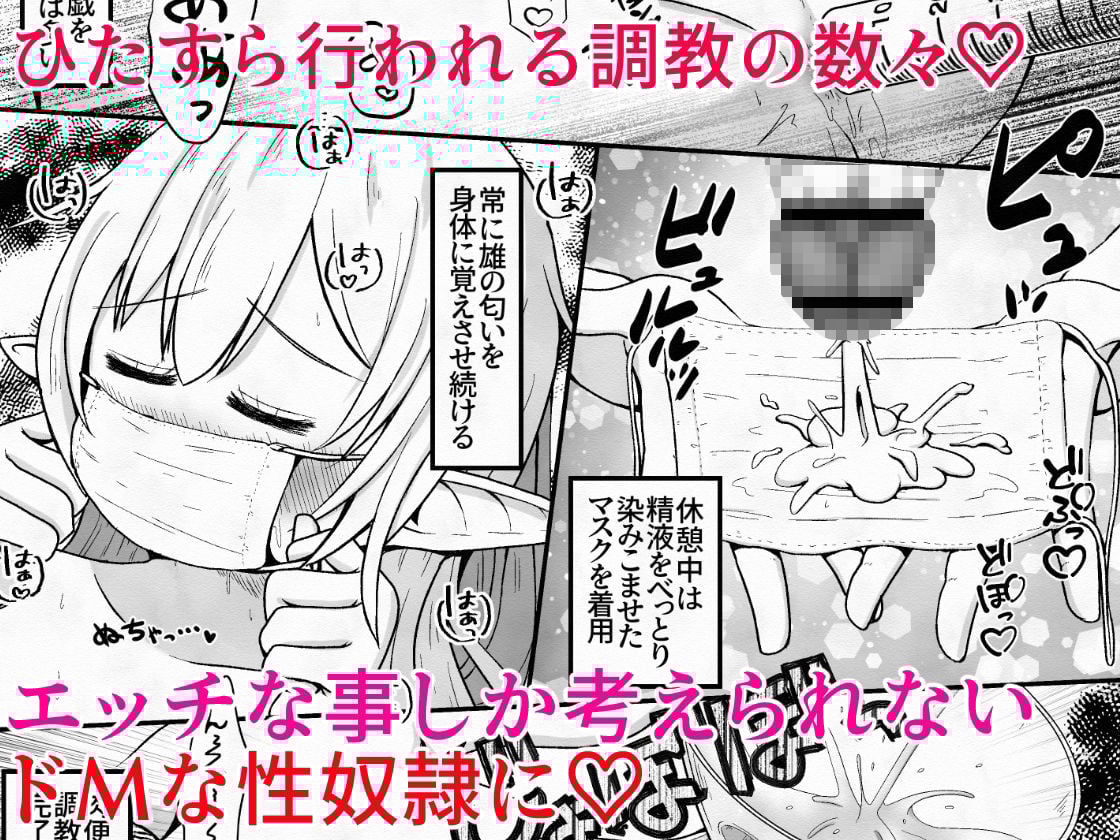 エルフの女の子を騙して誘拐し性奴●に調教するお話