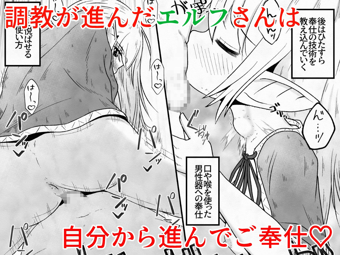 エルフの女の子を騙して誘拐し性奴●に調教するお話