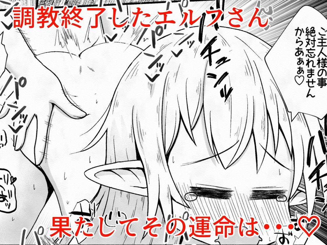 エルフの女の子を騙して誘拐し性奴●に調教するお話