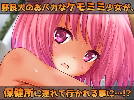 孕ませケモノ娘〜おバカな野良犬のケモミミ少女に嘘をついて妊娠交尾！