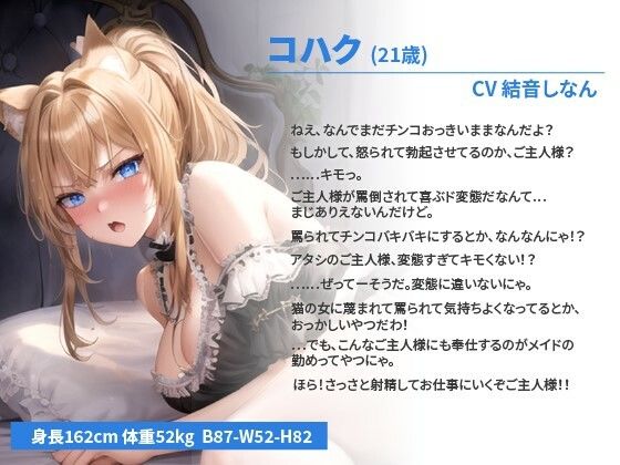 【バイノーラル】猫耳ヤンキーメイドちゃんは罵倒しながらドМご主人様と種付けセックスがしたい【抱き枕推奨/ファンタジー/巨乳】