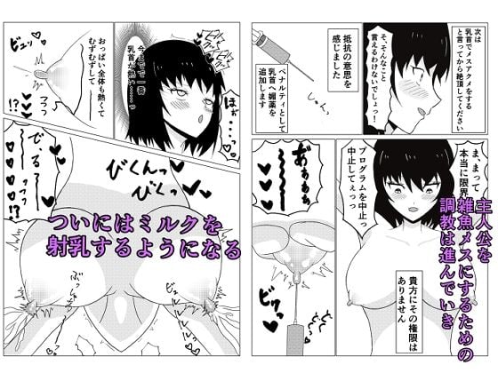 メスボックスで雑魚メス化した話