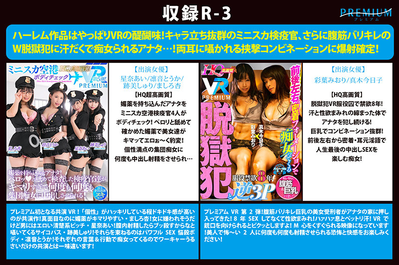 【VR】【全部HQ超高画質】プレミアムから感謝を込めて初VR総決算BESTを贈ります!長尺500分ぜんぶSEX! 専属・ハーレム・あるあるシチュエーション・非日常企画まで「結構いいじゃん!」が詰まった凝縮25作品!