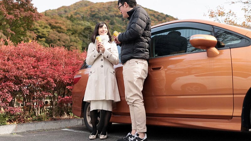 母子交尾～赤城山路～ 配信限定特別版 平清香