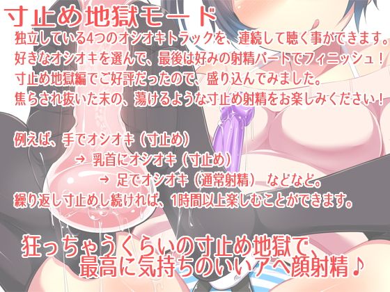 お兄ちゃんは妹のオナホ奴●〜オナサポ編Vol.4オシオキ〜