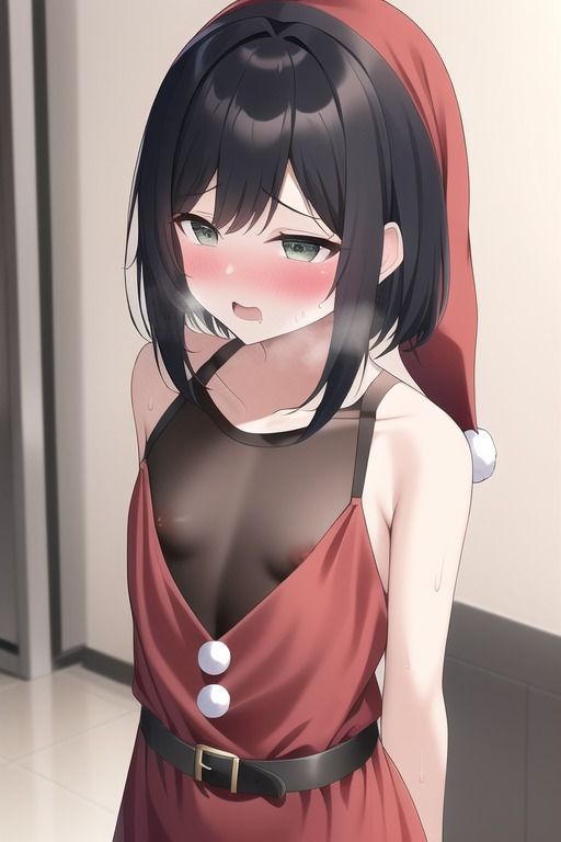 サンタコスの貧乳JKがクリスマスターベション用のおかずをプレゼントしてしまう集