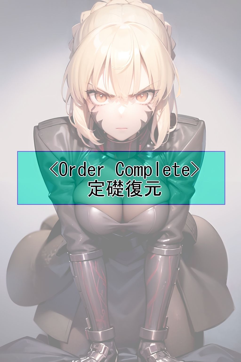【CGイラスト集】F〇O Vol.01(特異点F)
