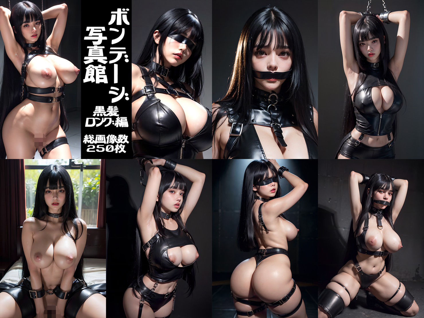 ボンデージ写真館 黒髪 THE BEST