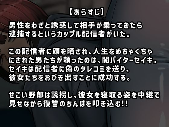 【フルカラー版】復讐闇バイト’私人逮捕系配信者に陥れられたから復讐してほしい’