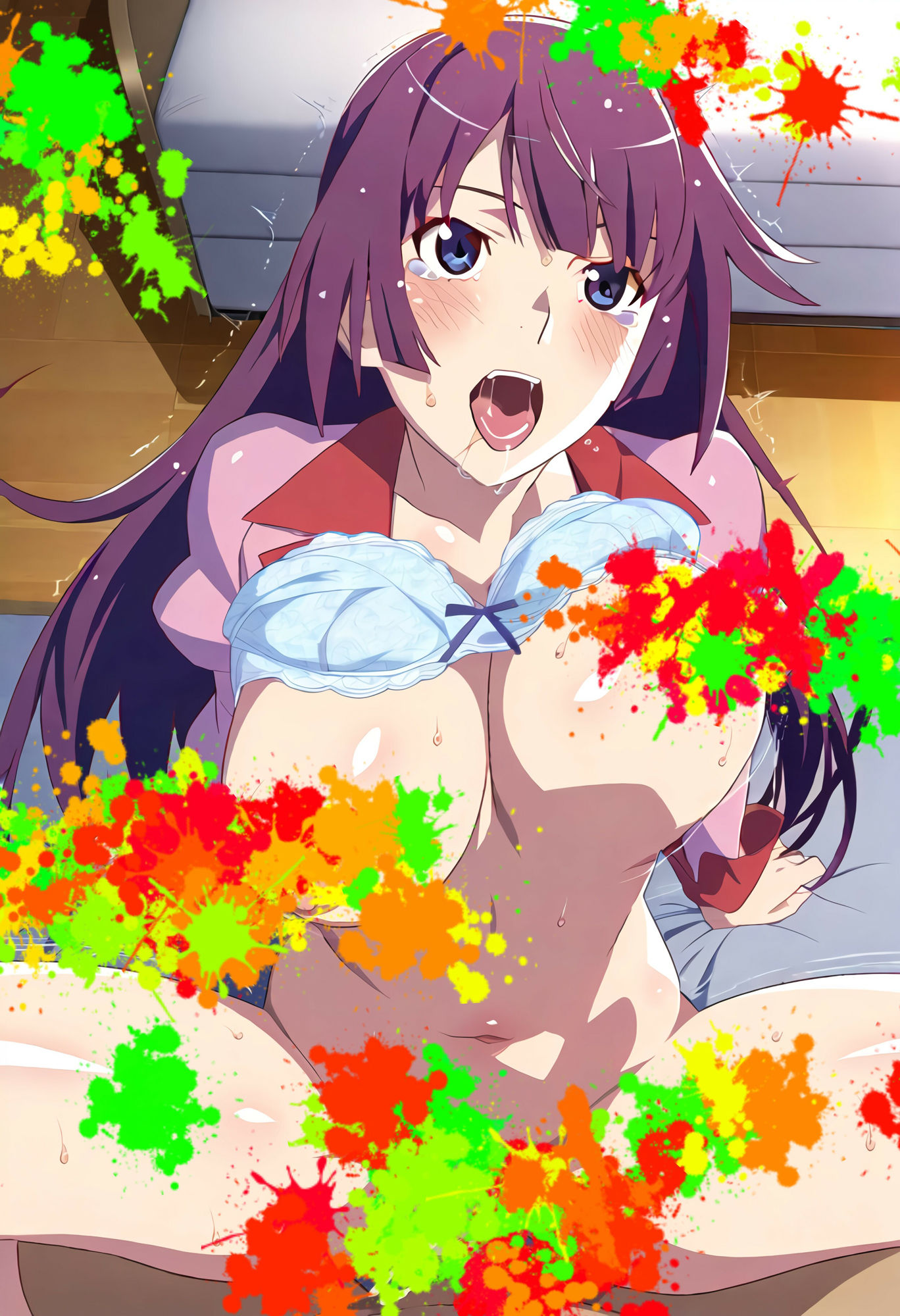 閨物語 戦場ヶ原ひたぎの場合