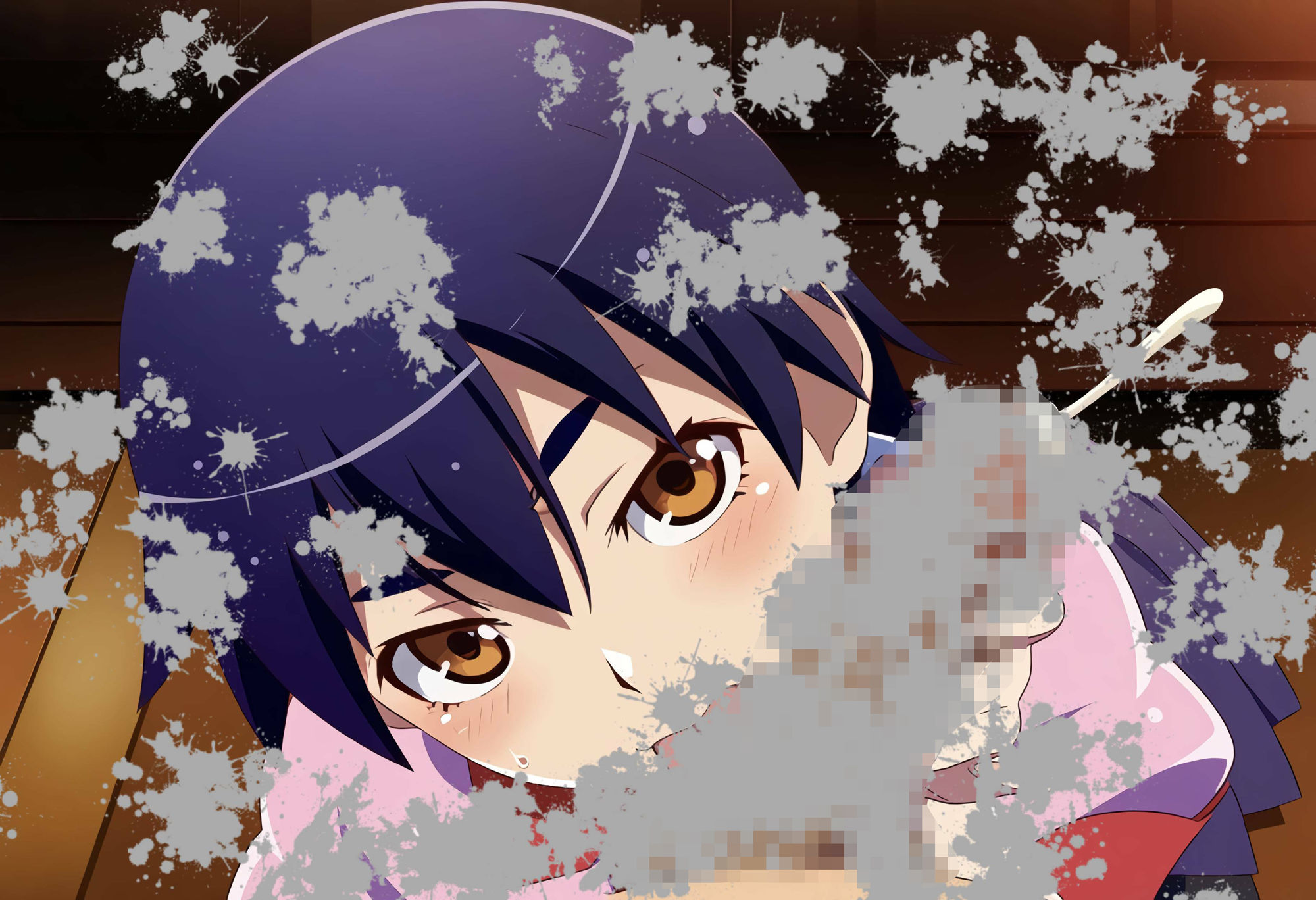 閨物語 神原駿河の場合