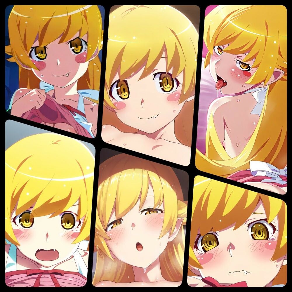 閨物語 忍野忍の場合