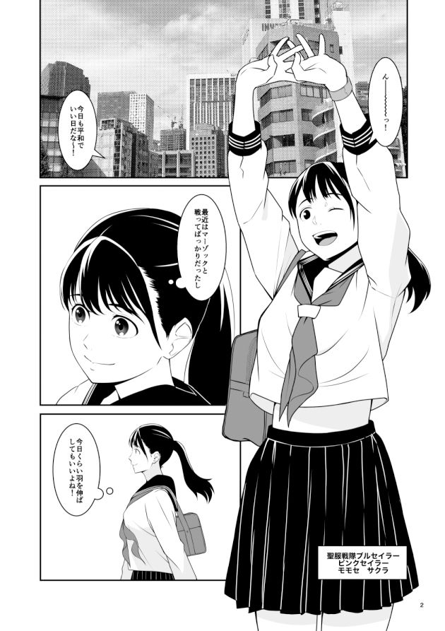 聖服戦隊ブルセイラー