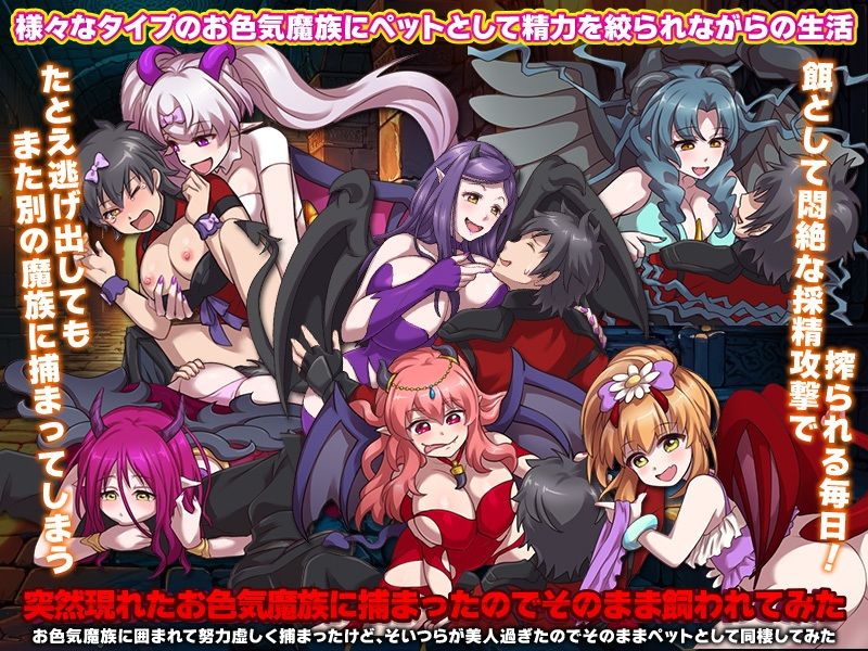 ダンジョンの第4層が発見！でもそこはお色気魔族の巣でした…