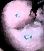私の蟲姦遊び 22話 妊娠中にハサミムシ編 全編
