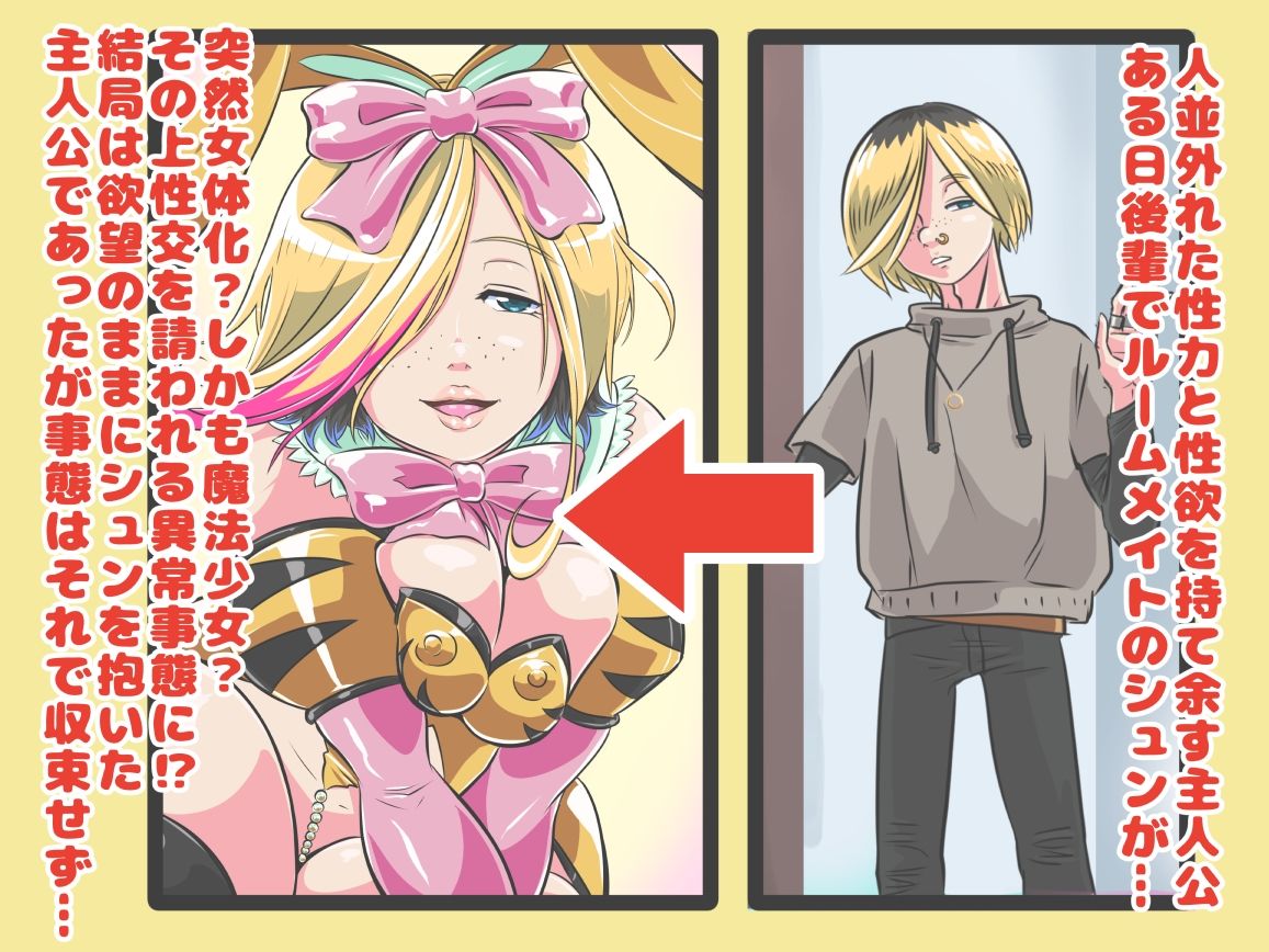 TS魔法少女トラップバニー