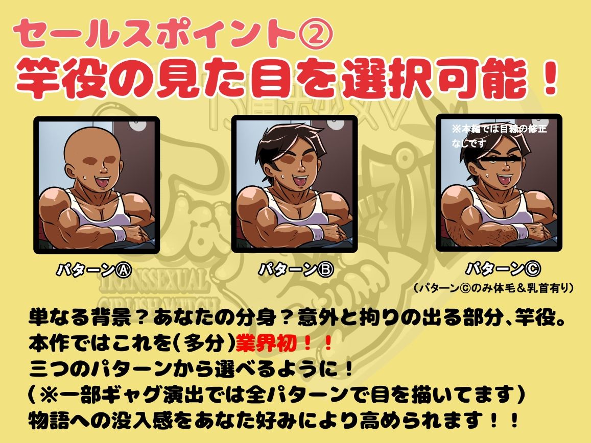 TS魔法少女トラップバニー