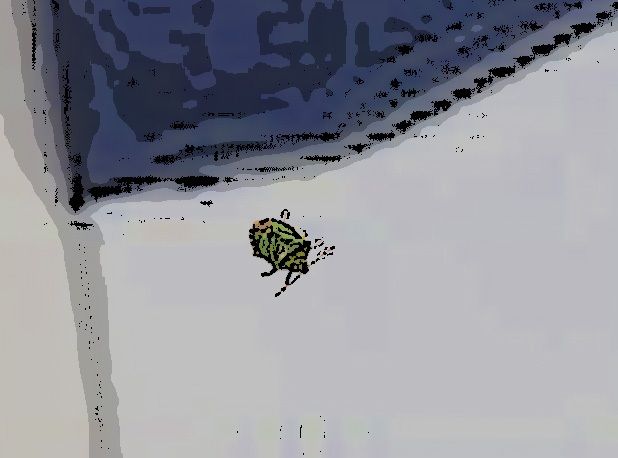 私の蟲姦遊び 23話 妊娠中に1匹のカメムシ編 全編