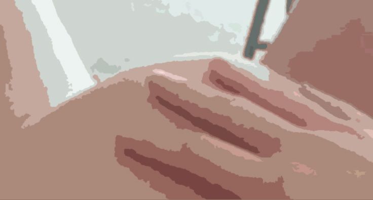 私の蟲姦遊び 23話 妊娠中に1匹のカメムシ編 全編