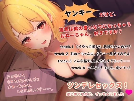 弟大好き ヤンキー姉のツンデレセックス！