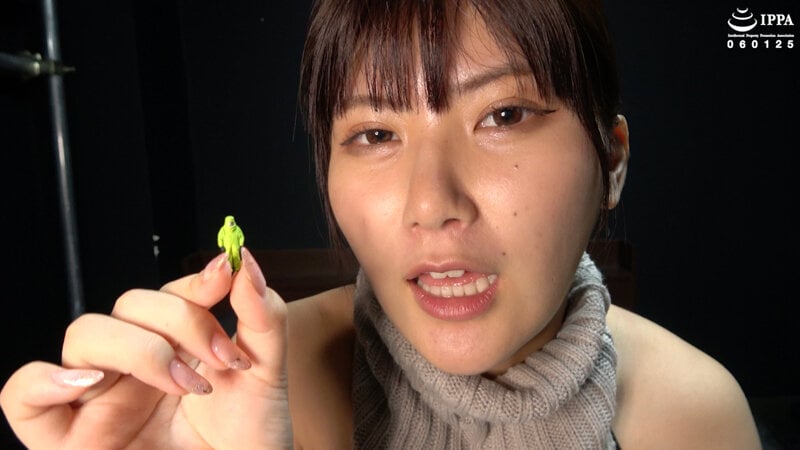 「アナル見せセクシーグラビアと巨大女になって全身舐めプレイ」有加里ののか