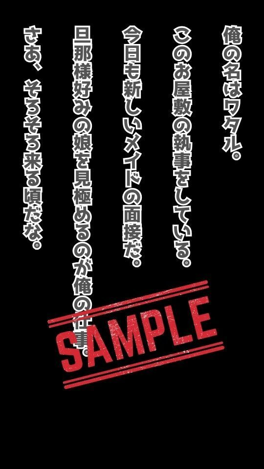 お屋敷のメイド面接 Vol.2
