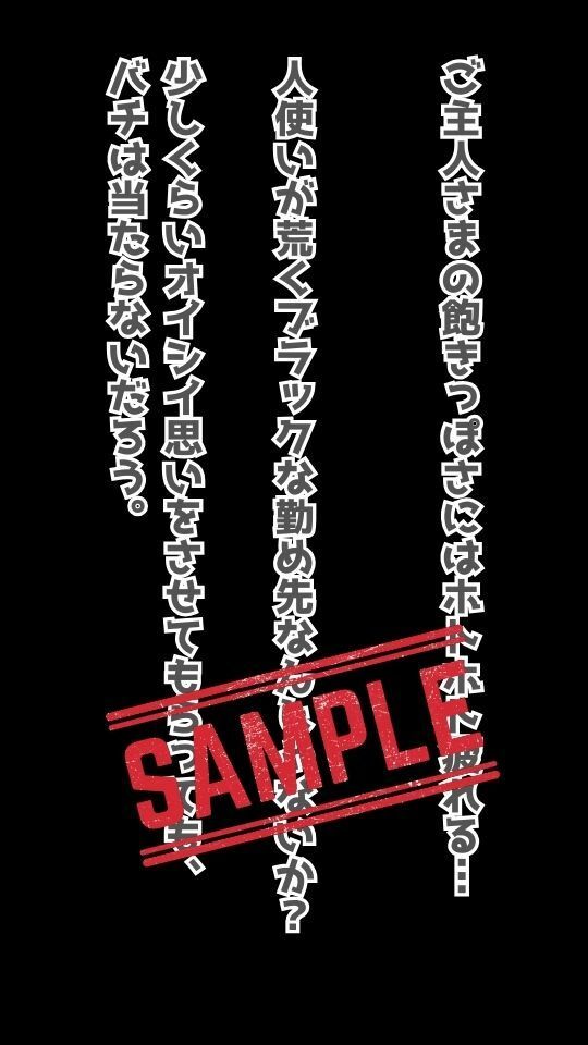 お屋敷のメイド面接 Vol.2