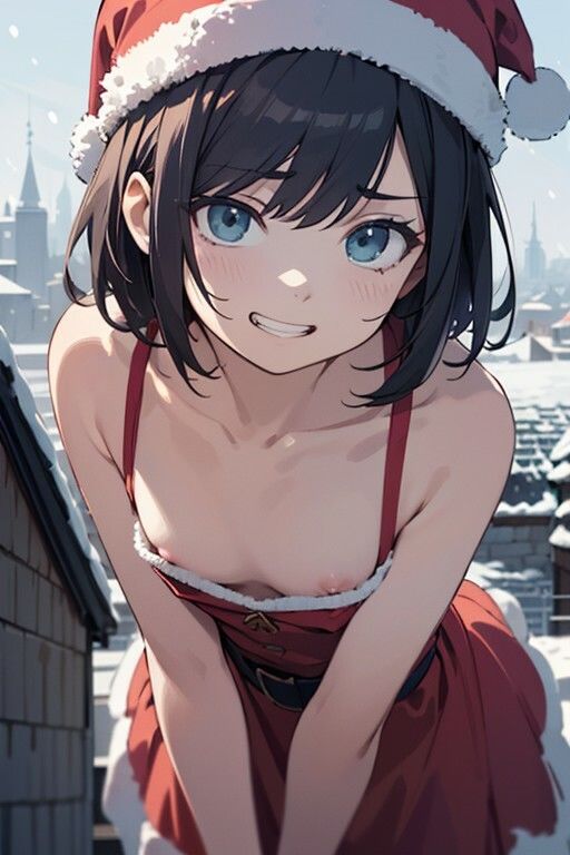 十人十色シリーズvol05:貧乳サンタコス編:221枚