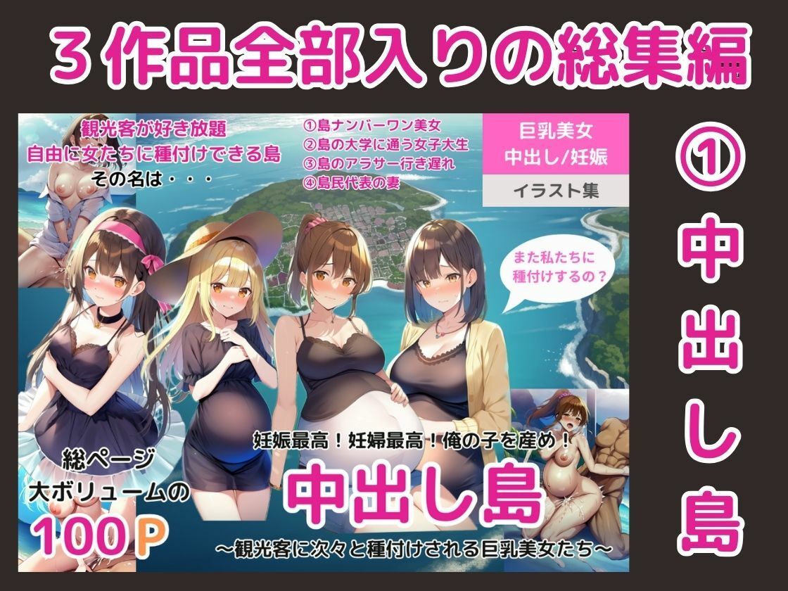 (総集編)Vol.2 中出しされる女たち〜巨乳美女の中に注いでみた〜(中出し島の美女/ 旅館にいた妊婦/ 電車にいた巨乳OL)