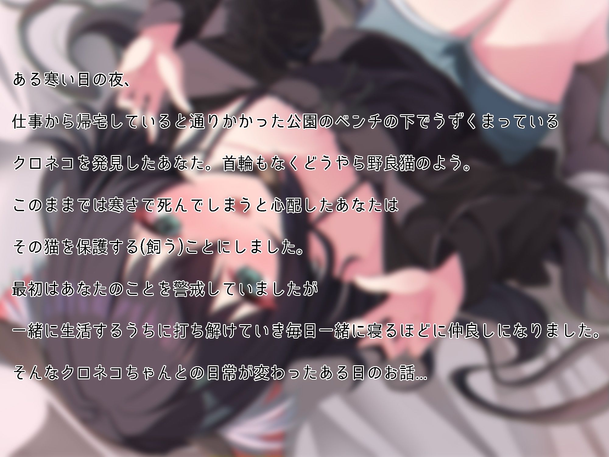 ちょっとナマイキペットとのイチャラブ生活〜クロネコが朝起きてたらケモミミロリになってた件〜