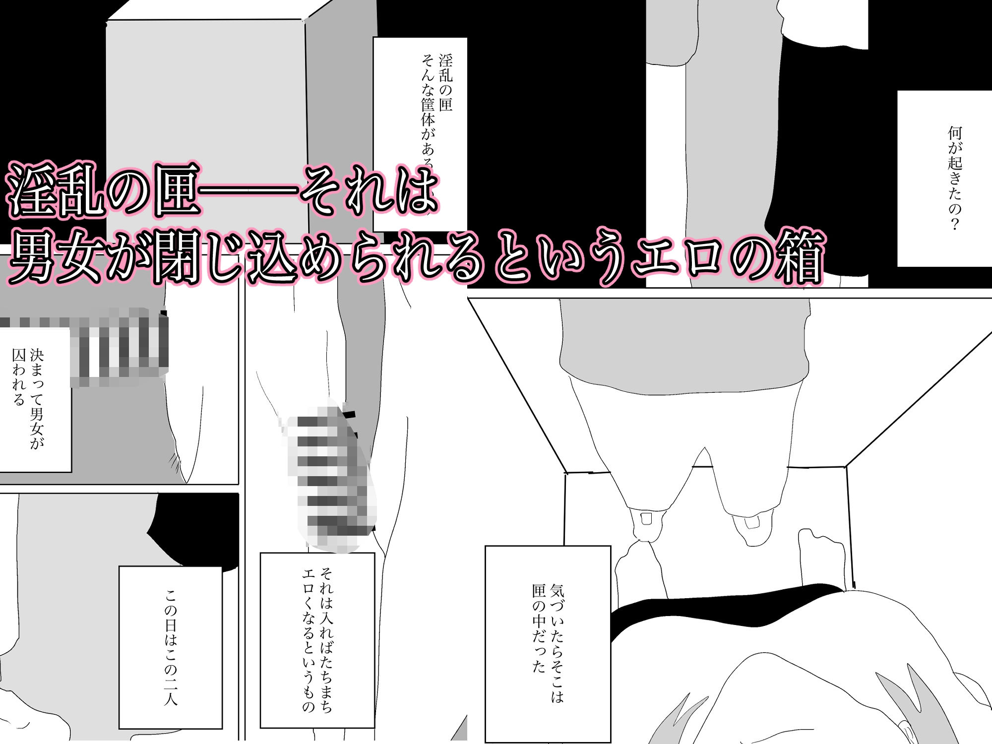 淫乱の匣
