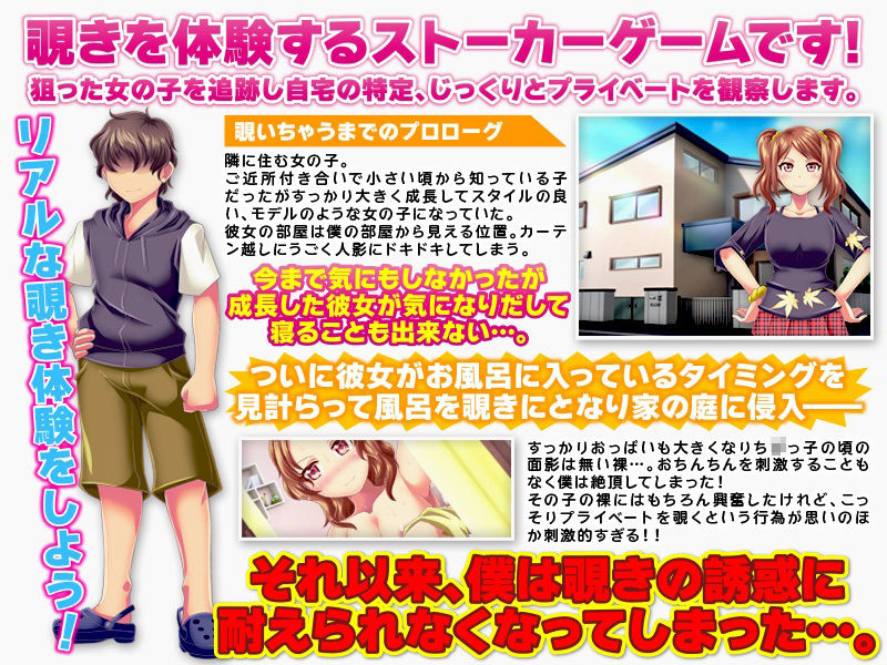 ドキドキ!リアルな覗きゲーム! -でも世の中、覗いちゃイケナイ秘密もありますよ-