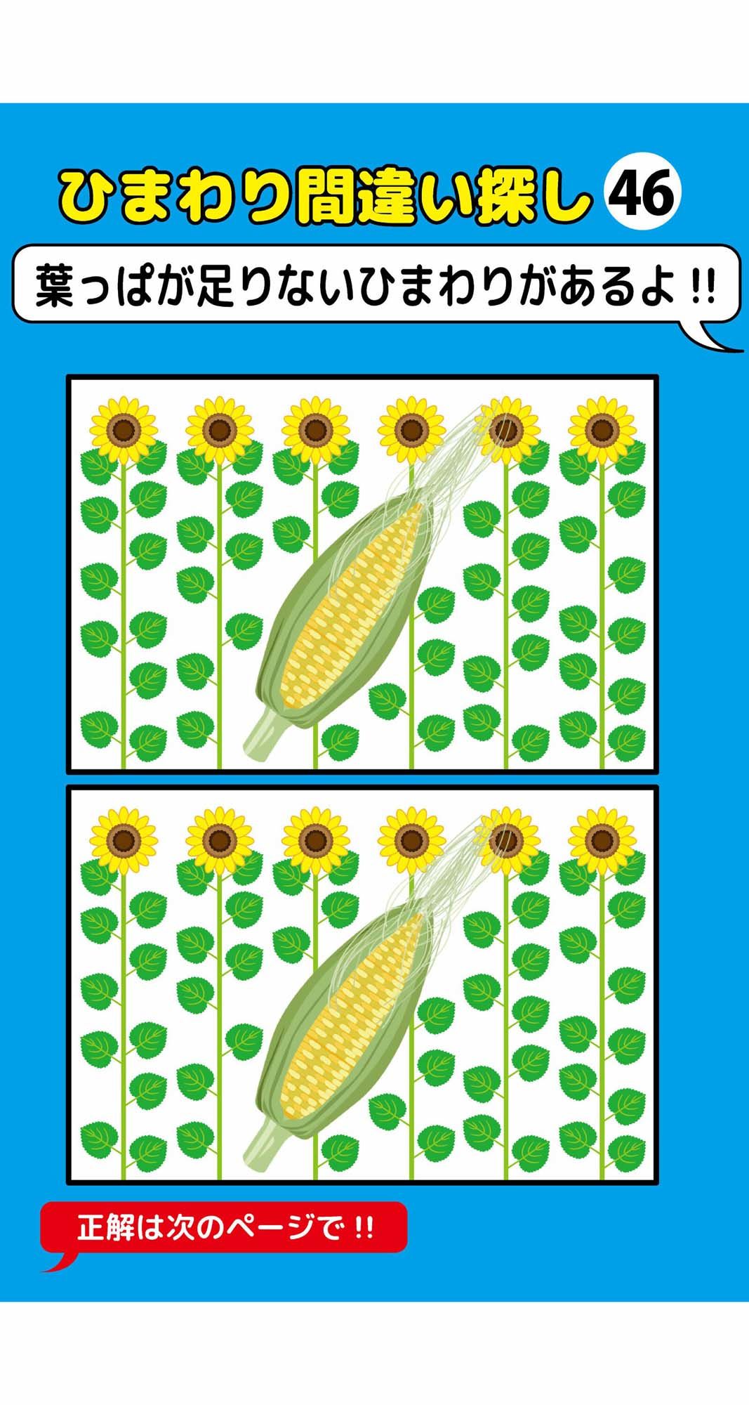 葉っぱが一枚足りないひまわり間違い探し（4）