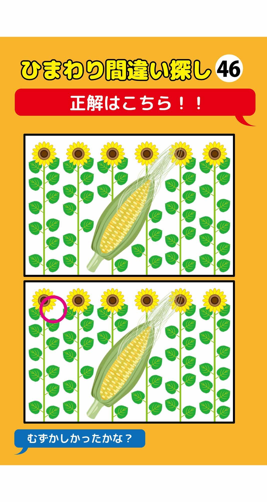 葉っぱが一枚足りないひまわり間違い探し（4）