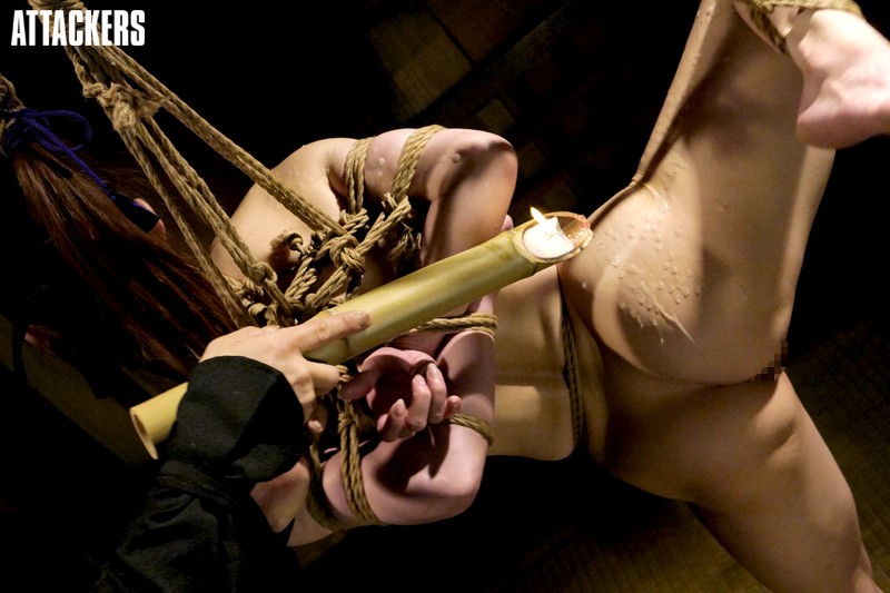 蛇と鬼 色忍びに堕ちた幕末の拷問姫君 樹花凜