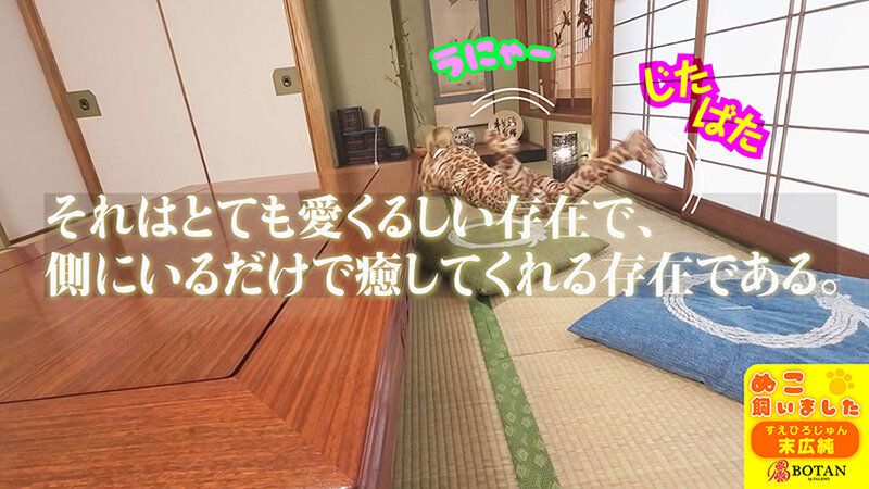 ねこ飼いました【POV】 末広純