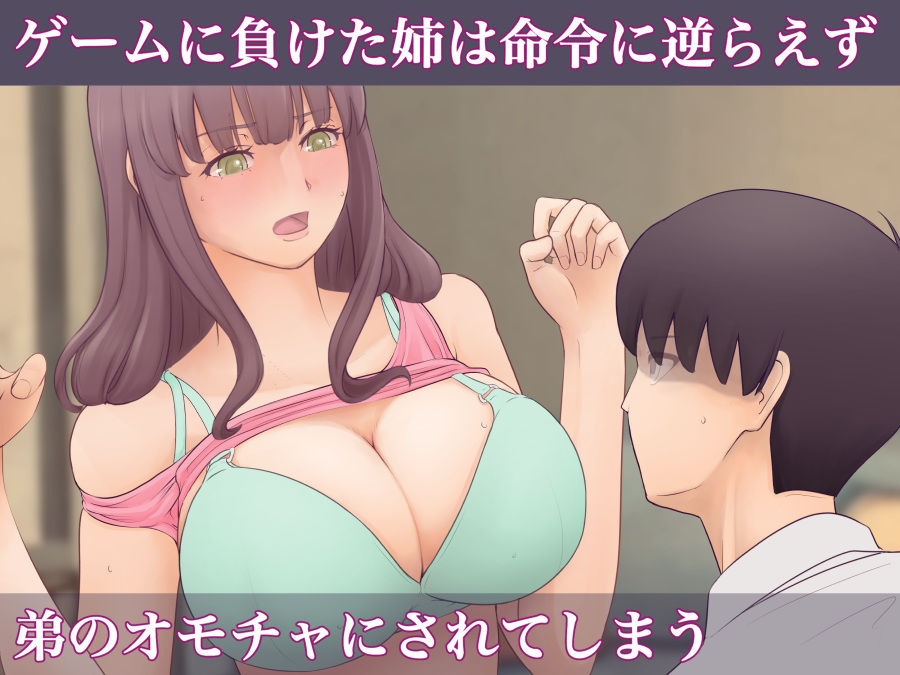 姉は僕のオモチャ