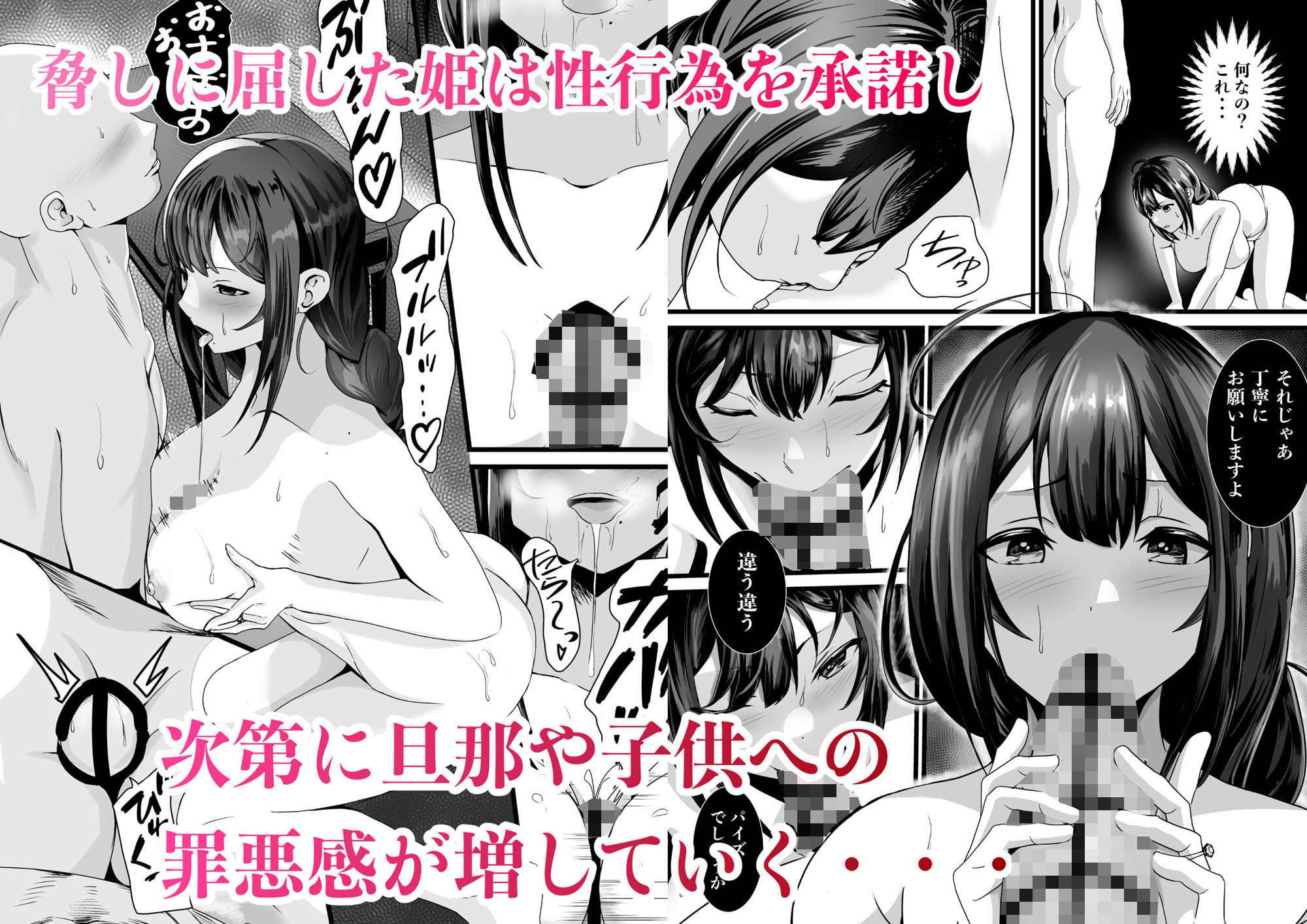 童貞オタ・・・ゲームで出会った人妻(姫)を寝取って中出しに成功する