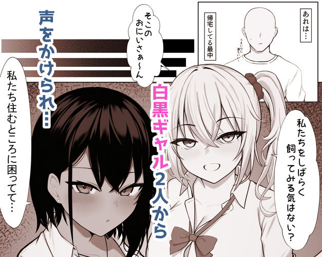 ギャルとの共同性活〜ギャル飼ってみませんか？〜