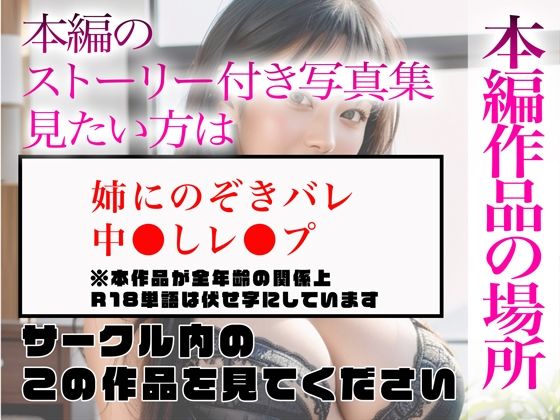 【超高画質グラビア写真集】巨乳姉の下着。最高の100枚〜中●しレ●プ編〜