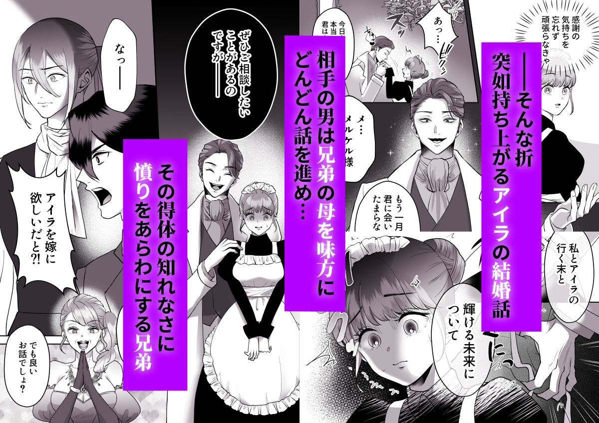 極貧メイドの私が貴族兄弟に溺愛される