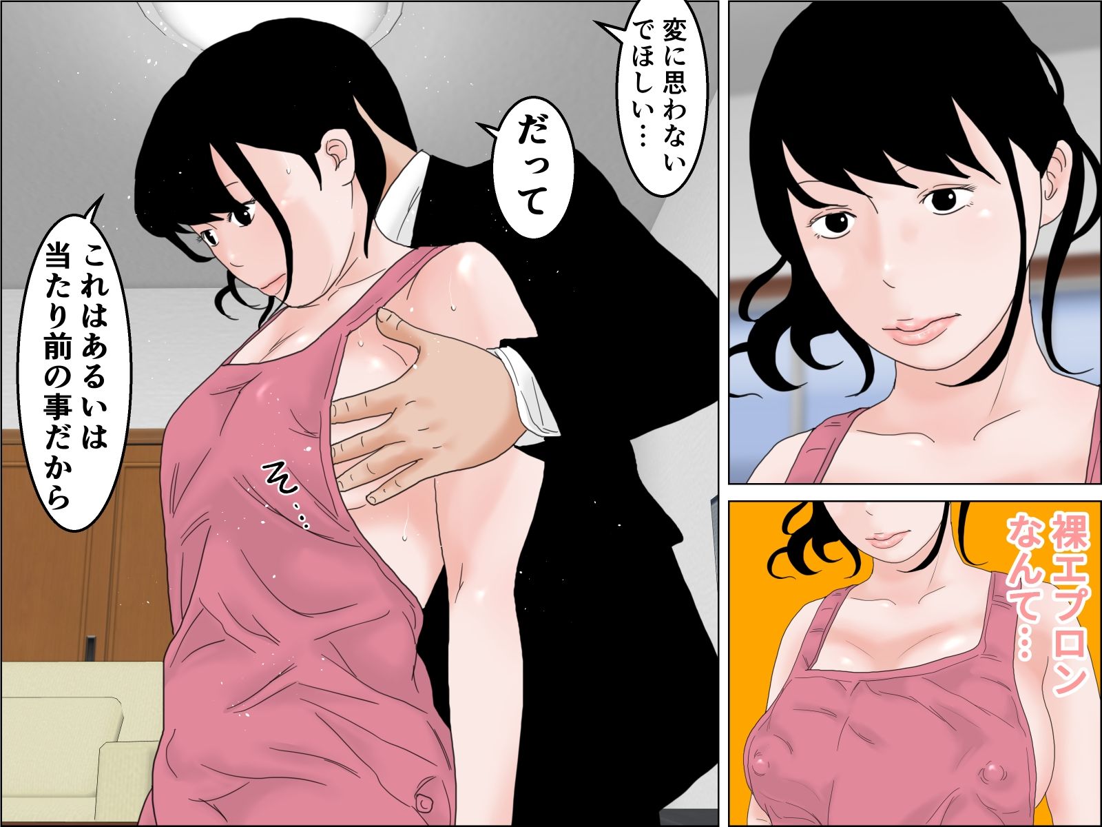 専属家政婦 アナル編