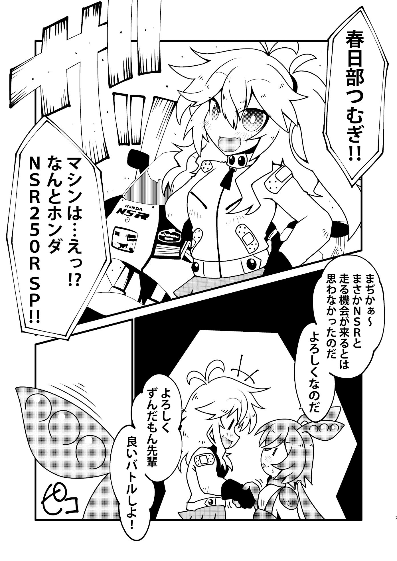 バイカロイズ紬