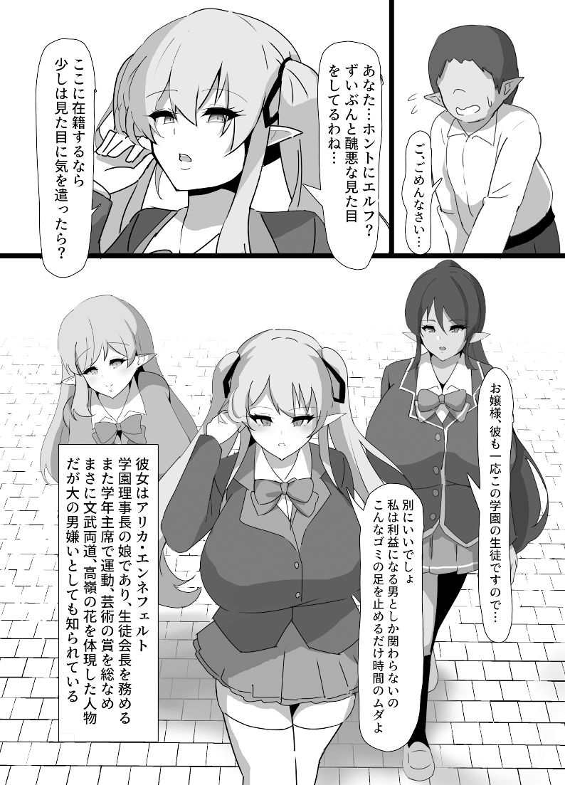 高潔エルフメス堕ち