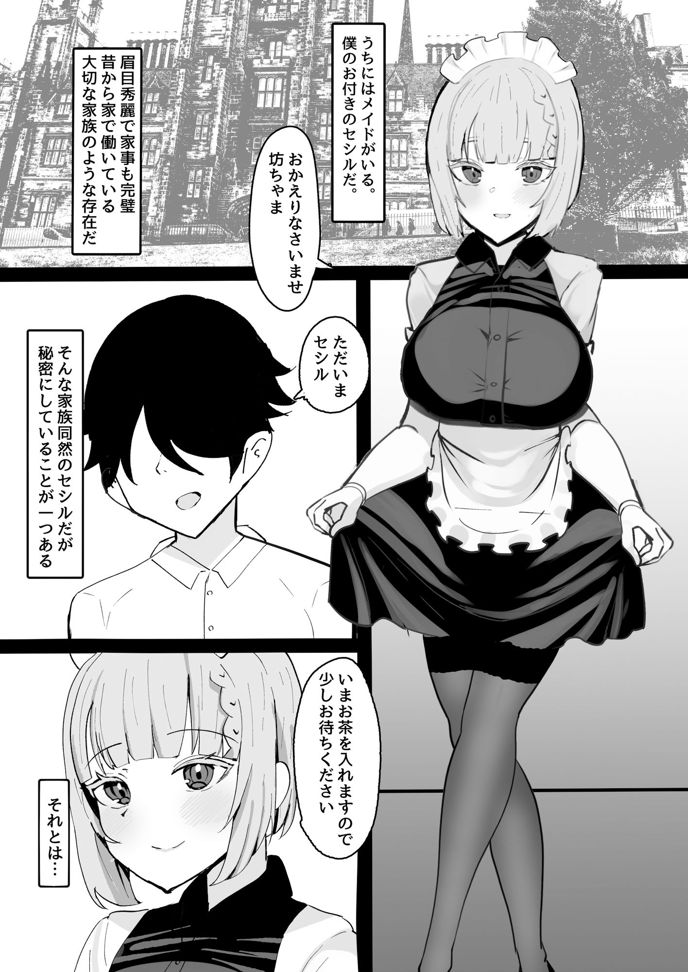 家族同然のメイドの睡●中にえっちな悪戯しまくる本