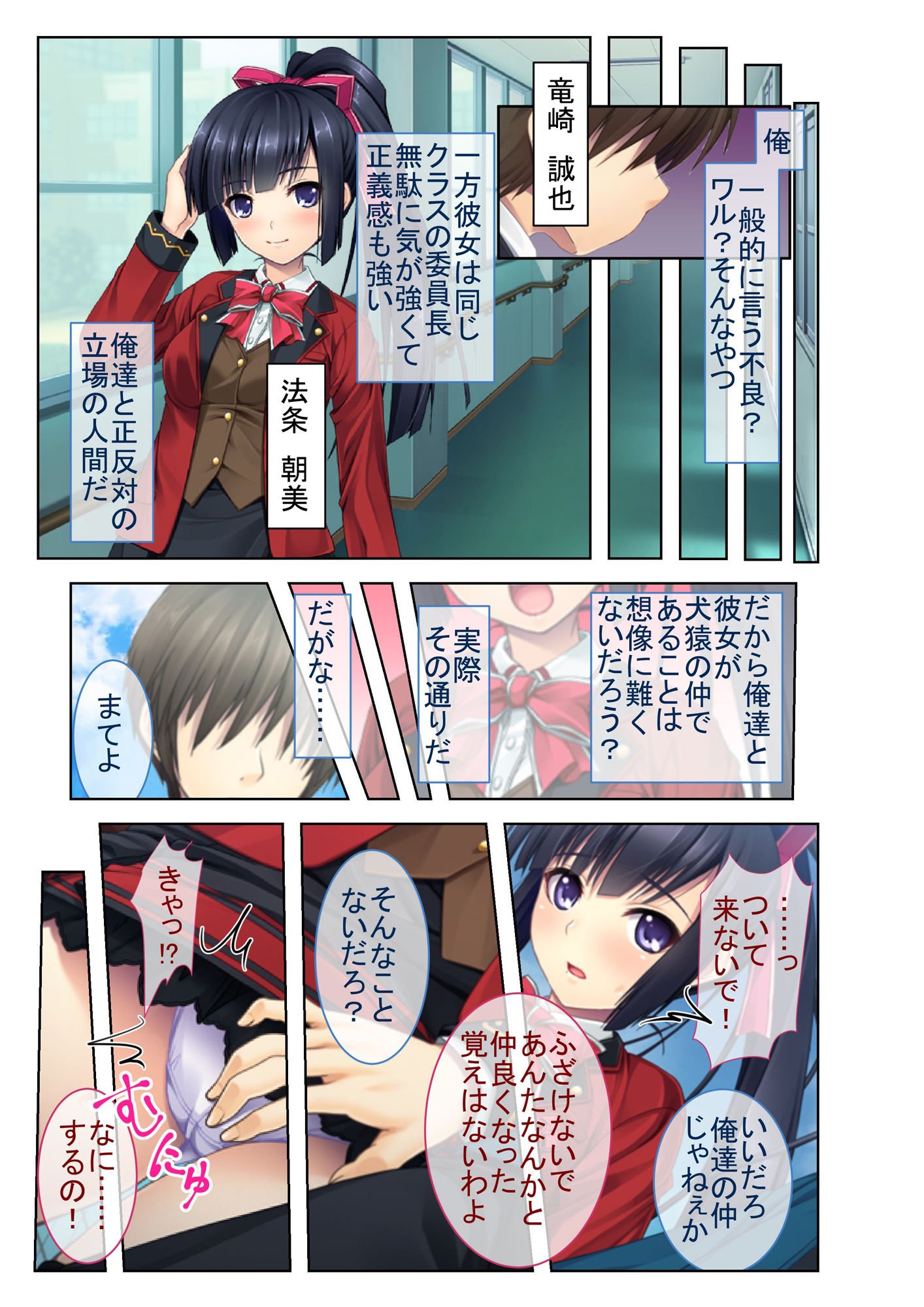 淫乱図鑑vol9 〜悶絶名器のどろどろハメ倒しSEX〜【シチュコレ!シリーズ】