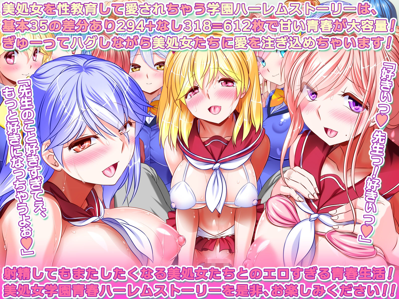 國家認定セックス師 〜先生であるアナタが生徒達にセックスを教える楽園的学園ハーレム〜